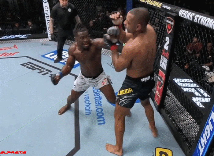 cesaralmeidavsabdulslhassan3.gif
